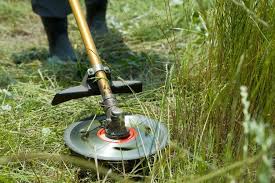 草払いをしている様子