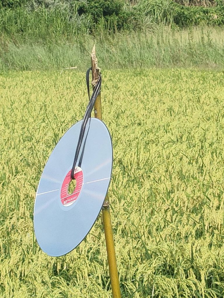 スズメ対策のCD